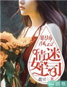 《职场风云:情迷女上司》