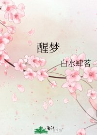 醒夢