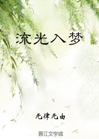 流光入梦/假如重生是场梦（流光）
